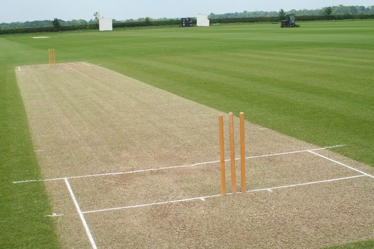 Cricket-pitch